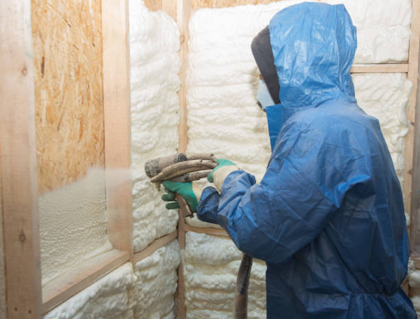 Best Insulation Removal  in USA